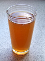 Kombucha-Getränk im Trinkglas