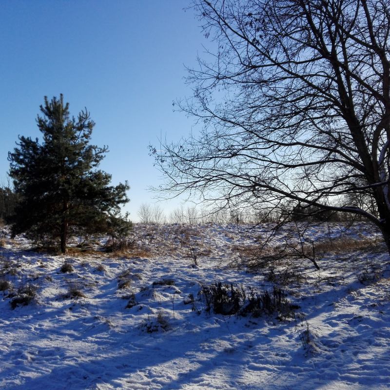 Werder im Winter - Landschaft nach Schneefall im Januar
