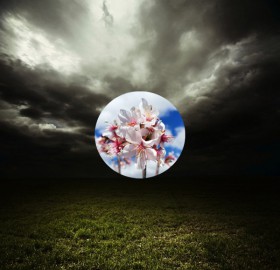 Sturm - Schönheit & Fokus (Fotomontage mit Wiese, Wolken und Blüten)