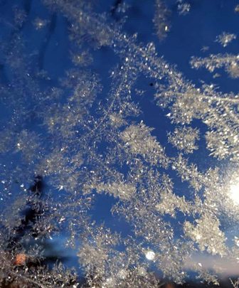 Eisblumen an einer Glasscheibe