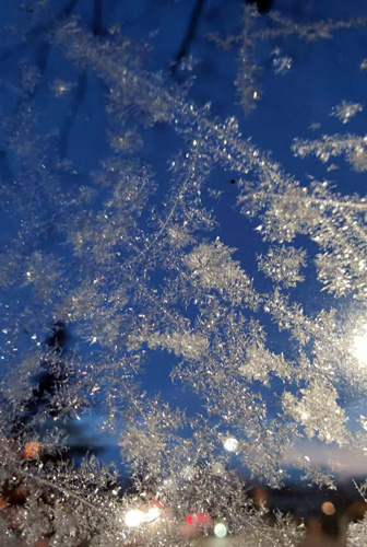 Eisblumen an einer Glasscheibe